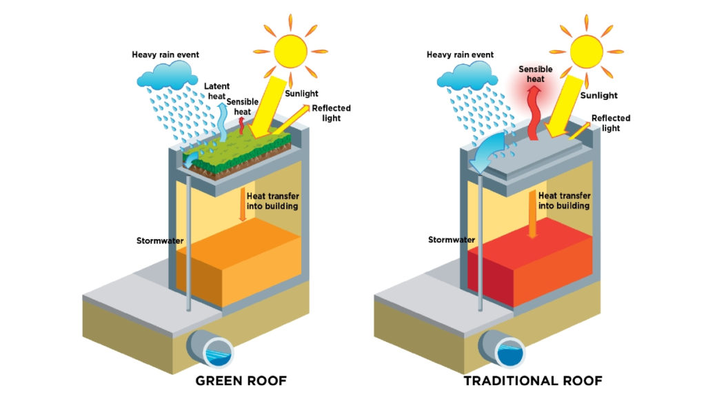 Studi comparativi tra i tetti verdi e le coperture tradizionali a cura dell'U.S. Environmental Protection Agency