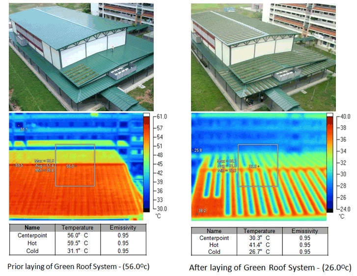 comparazione tra termogrammi IR di un tetto con e senza strato verde di copertura per il calcolo della trasmittanza termica