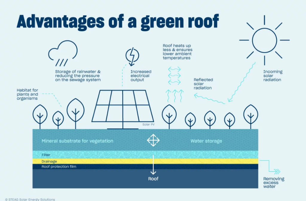 Figura 3: tra gli innumerevoli vantaggi di un tetto verde, possiamo anche annoverare una superiore efficienza dei pannelli FV in falda.
